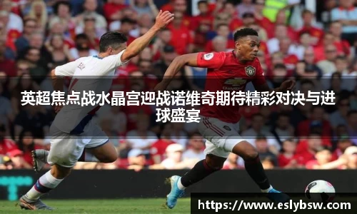 英超焦点战水晶宫迎战诺维奇期待精彩对决与进球盛宴